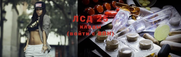 mdpv Волоколамск