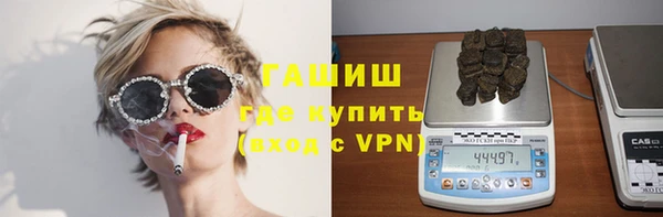 прущие грибы Верея