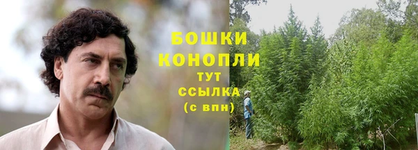 гидропоника Володарск