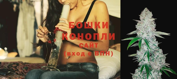 прущие грибы Верея
